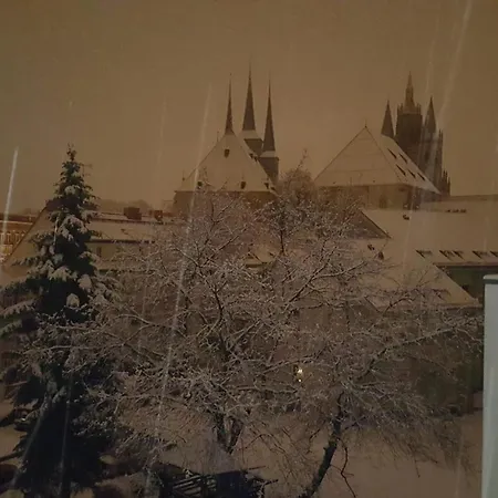 Apartment Am Dom In